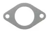Прокладка труби вихлопної Citroen Berlingo/Jumper/Fiat Ducato 1.9D 96-06 ELRING 226.506 (фото 1)