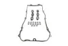 Прокладка кришки клапанів BMW 3 (E46)/5 (E39)/(E60) 2.0-3.0 00- (комплект) (+сальники) ELRING 318.600 (фото 1)