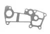 Прокладка радиатора масляного Citroen Jumper/Fiat Ducato/Iveco Daily 3.0 D 06- ELRING 354.300 (фото 1)
