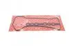 Прокладка крышки клапанов Toyota Corolla 1/4/1.6 VVT-i/VT-i 00-09 (к-кт) ELRING 457.380 (фото 1)