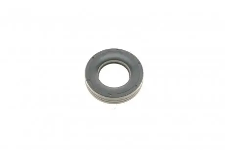 Кільце ущільнювальне свічкового колодязя Mini (R50/R52/R53) 01-08 ELRING 485.920