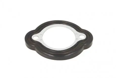 Прокладка системи охолодження BMW 3 (E90)/5 (E60/F10)/6 (E63)/7 (E65/E66/E67/F01-F04)/X5 (E70) 04-15 ELRING 574.260