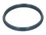 Прокладка впускного коллектора Ford Transit 2.0TDCi/2.4TDCI 00- 575.500