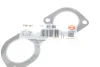 Прокладка коллектора выпускного BMW 5 (E60)/6 (E63/64)/7 (E38) 3.0i-4.9i 92-10, M60/M62 ELRING 638.181 (фото 2)