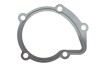 Прокладка насоса воды Citroen/Fiat/Hyundai/Lada/Suzuki 1.6-2.0D 82- ELRING 754.044 (фото 1)