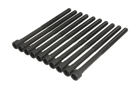 Набір болтів ГБЦ BMW 1 (F20), 1 (F21), 2 (F22, F87), 2 (F23), 2 (G42, G87), 3 (F30, F80), 3 (F31), 3 (G20, G80, G28), 3 (G21), 3 (G21, G81), 3 GRAN TURISMO (F34), 4 (F32, F82) 2.0/2.0H 07.15- ELRING 794470