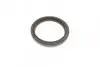 Комплект прокладок двигателя (нижний) BMW 3 (F30/F80/G20/G80/G28)/5 (G30/F90)/7 (G11/G12) 15- B58 B30 ELRING 794.700 (фото 7)