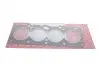Прокладка ГБЦ Ford Fiesta 1.3/1.6-94 (1.7mm) ELRING 814.262 (фото 1)