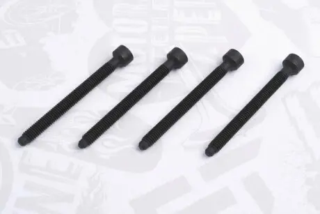 Комплект болтов ET ENGINETEAM BS0008