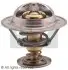 Термостат Lancia Phedra 2.0 jtd (03-10) (7.8323S) FACET