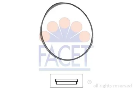 Кільце ущільнювача термостата Bmw 3 316 ci (00-06) FACET 7.9631