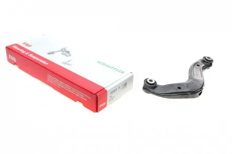 Рычаг подвески (задний) (R) Audi A4 00-09 FAG 821 0813 10