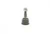 Опора кульова (передня/знизу) Toyota Land Cruiser 3.0/3.4 96-02 FAG 825 0014 10 (фото 4)