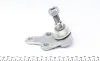 Опора шаровая (передняя/снизу) Ford C-max 07-10/ Focus 03/06- FAG 825 0279 10 (фото 4)