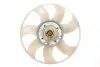 Муфта вентилятора Ford Transit 2.2Di 14- FANEX CS 22617 (фото 1)