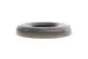 Опора амортизатора з підшипником NISSAN Kubistar 03-08,KUBISTAR фургон 03-;RENAULT Clio II 98-05,Kangoo 97-07 FAST FT12226 (фото 6)