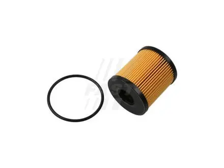 Фільтр масляний DS DS5 15-18; CITROEN DS5 11-15; MINI MINI HATCH (R58) 11-15; JAGUAR XF SPORTBRAKE (X250) 12-14 FAST FT38074