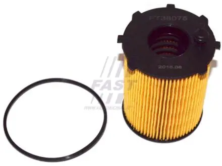 Фільтр масляний SUZUKI SX4 (GY) 07-; CITROEN DS5 11-15; MINI MINI HATCH (R56) 07-10; FORD S-MAX I (WA6) 11-14 FAST FT38075