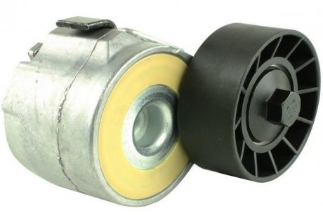 Ролик ГРМ натяжной в сборе CITROEN Jumper 06-14, FIAT Ducato 06-14, PEUGEOT Boxer 06-14, IVECO Daily 04-14 FAST FT44613