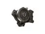 Насос водяний Fiat Ducato/Peugeot Boxer/Citroen Jumper (06-) 3.0 JTD 6PK FAST FT57147 (фото 1)
