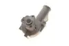 Насос воды Ford Escort/Fiesta -91 FEBI BILSTEIN 01246 (фото 10)