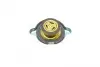 Кришка радіатора охолодження Audi; VW (Febi) FEBI BILSTEIN 04496 (фото 2)