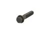 Болт FEBI BILSTEIN 06076 (фото 1)