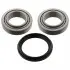 Комплект подшипников задний Ford Escort 1.4, 1.8D 90- FEBI BILSTEIN 08132 (фото 1)