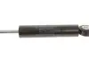 Демпфер натягувача поліклінового ременя MB OM601/602/603 1200 Н (FEBI) FEBI BILSTEIN 08779 (фото 2)