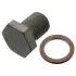 Болт зливу оливи + шайба BMW X3 (E83)/X5 (E70)/3 (F34)/5 (E60)/Toyota Avensis III (M12 x1,5) FEBI BILSTEIN 100551 (фото 1)