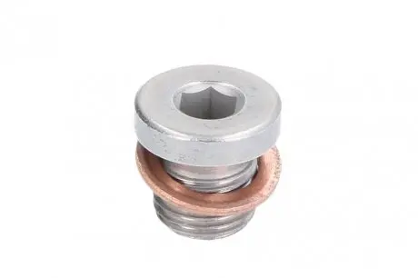 Болт зливу оливи VW Caddy III/T5/T6 03- (M10x13) FEBI BILSTEIN 101020