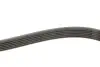 Ремень генератора VW Caddy IV/V 15-/T7 2.0 TSi 21- (6PK1005) FEBI BILSTEIN 177991 (фото 4)