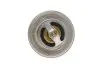 Термостат VW T4/T5/Audi 1.9D/TD/2.0 (87°C) FEBI BILSTEIN 17888 (фото 2)
