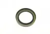 Подшипник ступицы (передней) MB S-class (W203/S203/W204/S204/C204) 00- FEBI BILSTEIN 27311 (фото 8)