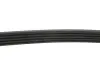 Ремінь генератора Fiat Doblo 1.4 05- (5PK1145) FEBI BILSTEIN 28856 (фото 3)