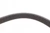 Ремень генератора Audi A4/A6/VW Passat 1.9 TDI 95-01 (5PK1590) FEBI BILSTEIN 28882 (фото 3)