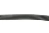 Ремень генератора Audi A3 1.6/2.0FSI 03-13/Citroen Berlingo 1.9D 96-11/Caddy 1.6-2.0 95-15 (6PK1045) FEBI BILSTEIN 28915 (фото 2)