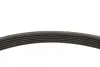 Ремень генератора VW T6 2.0 TSI 15- (6PK1113) FEBI BILSTEIN 28924 (фото 2)