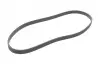 Ремень генератора VW T5 1.9TDI/VW Caddy III 1.9/2.0TDI (+AC) FEBI BILSTEIN 34459 (фото 3)