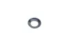 Ремкомплект суппорта (заднего) (L) Renault Kangoo 01- (d=38mm) (Bosch) (+поршень из меха) FRENKIT 238995 (фото 11)
