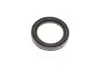Ремкомплект супорта (заднього) MB Sprinter 208-316/VW LT 28-35 (d=52mm) (+поршень) (Bosch) FRENKIT 252903 (фото 9)
