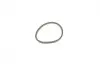 Ремкомплект суппорта (переднего) Mini Mini (F54/F55/F56/F57) 13- (d=54mm) (Trw) (+поршень) FRENKIT 254842 (фото 4)