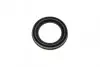 Ремкомплект суппорта (заднего) Mini Mini 10-16 (R60/R61) (d=54mm) (+поршень) (TRW) FRENKIT 254846 (фото 11)