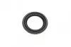 Ремкомплект суппорта (заднего) Mini Mini 10-16 (R60/R61) (d=54mm) (+поршень) (TRW) FRENKIT 254846 (фото 10)