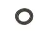 Ремкомплект суппорта (переднего) Mitsubishi Colt VI 04-12 (d=54mm) (Akebono) (+ поршень) FRENKIT 254951 (фото 10)