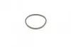 Ремкомплект суппорта (переднего) Hyundai Elantra/Kia Rio III 00-(d=54mm)(Mando)(+1 поршень/направляю) FRENKIT 754470 (фото 2)
