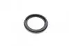 Ремкомплект суппорта (переднего) Opel Insignia 08-18 (d=60mm)(Mando)(+ поршень/направляющая)SuperKit FRENKIT 760903 (фото 3)