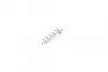 Комплект пружинок колодок ручника MB C-class (W203/W204) 02- /V-class (W639/W447) 03- FRENKIT 950874 (фото 3)