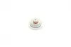 Поршень супорта (переднього) MB E-class (W211) 02-08 (27.95x26.5mm) (Brembo) FRENKIT P282701 (фото 3)
