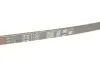 Ремінь генератора Fiat Croma/Lancia Thema/Toyota Hiace IV 2.0/2.7 82-05 Gates 4PK1100 (фото 4)